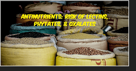 Learn about the potential dangers of lectins, phytates, and oxalates in your diet and how they can impact your health. Find out how to minimize their negative effects and optimize your overall well-being. Antinutrients: Health Risk of Lectins, Phytates, & Oxalates